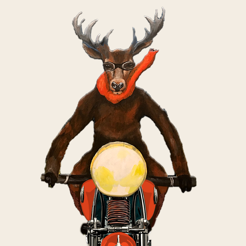 Kallis Bro - Der Draufgänger